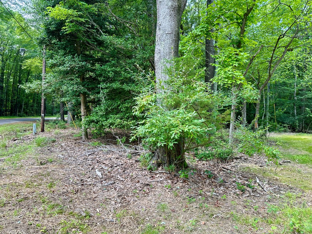 Lots 4&5 Hampton Place