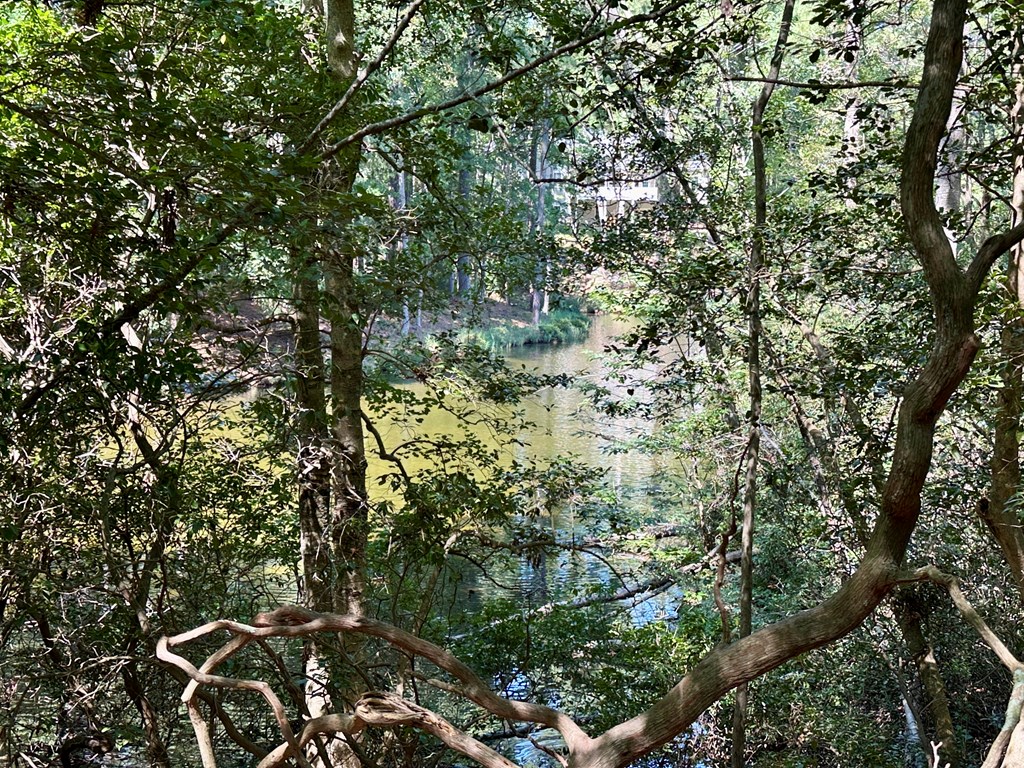 Lot 75 Wood Duck Court