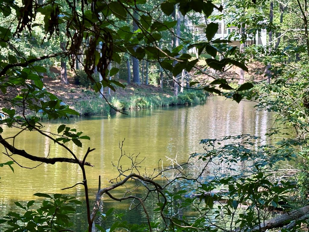 Lot 75 Wood Duck Court