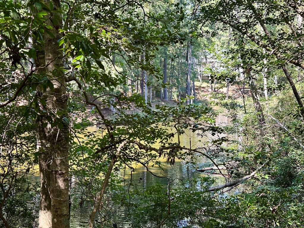 Lot 75 Wood Duck Court