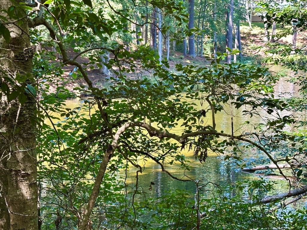 Lot 75 Wood Duck Court