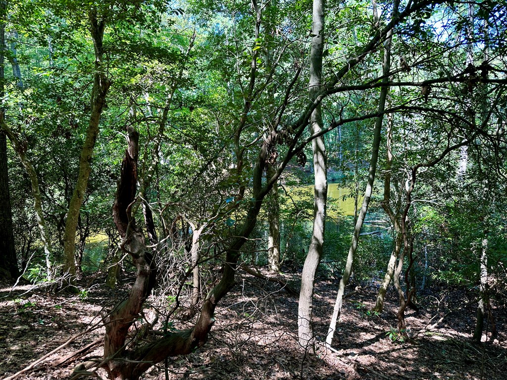 Lot 75 Wood Duck Court