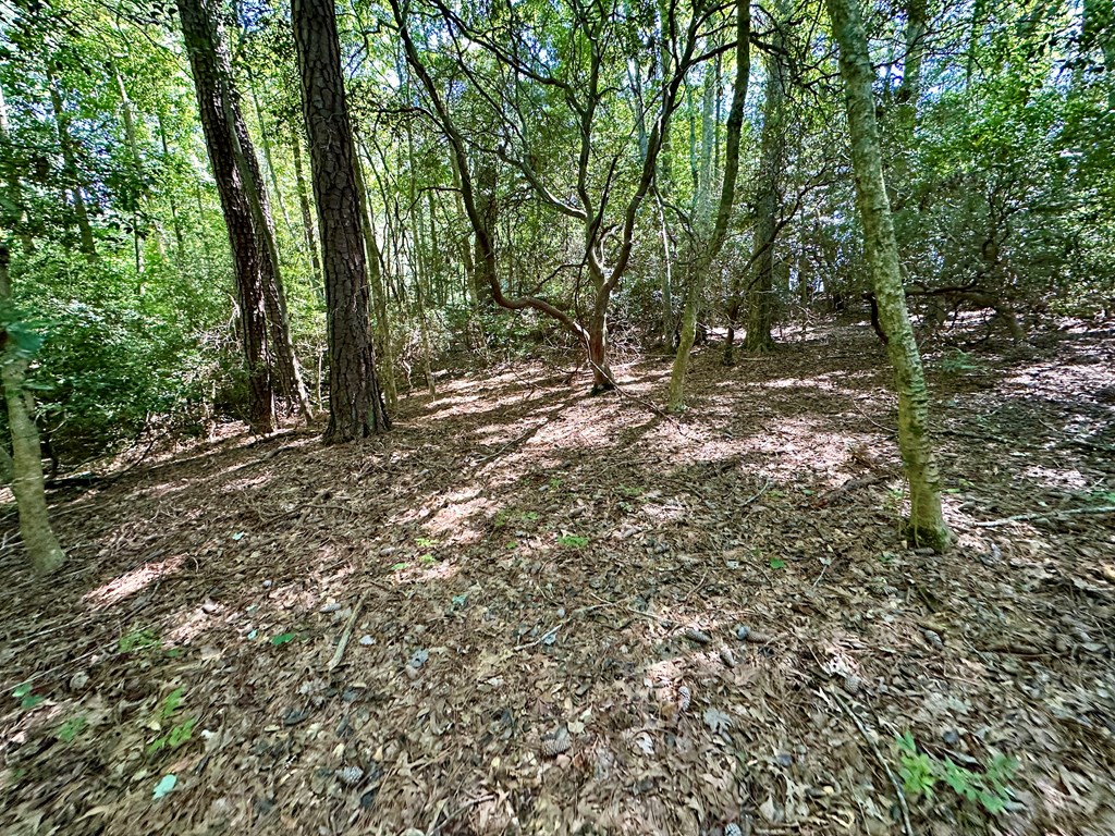 Lot 75 Wood Duck Court