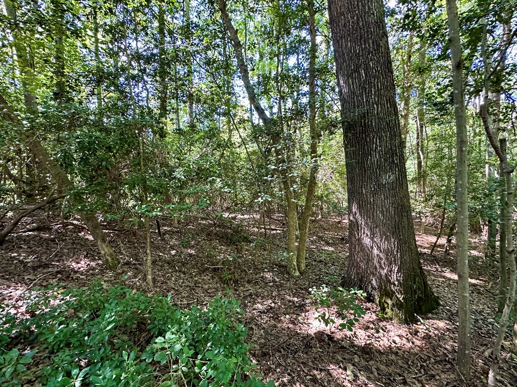 Lot 75 Wood Duck Court