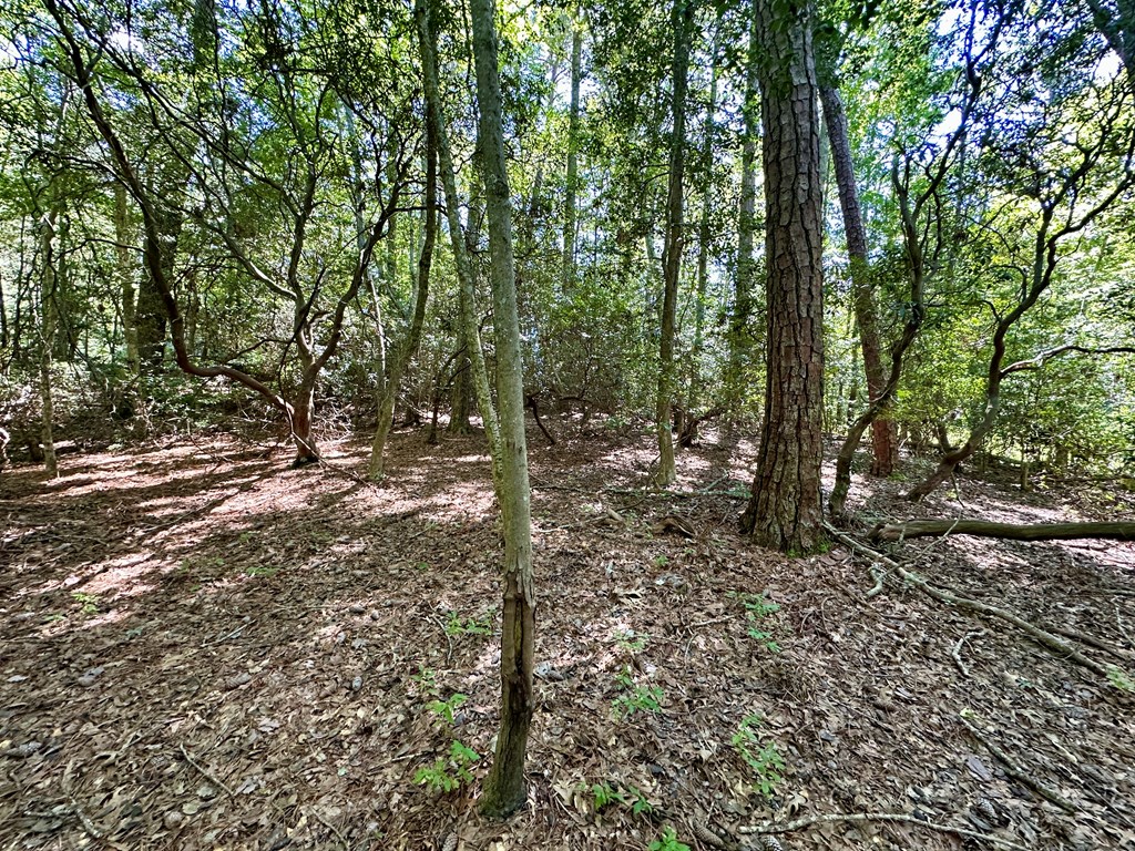 Lot 75 Wood Duck Court