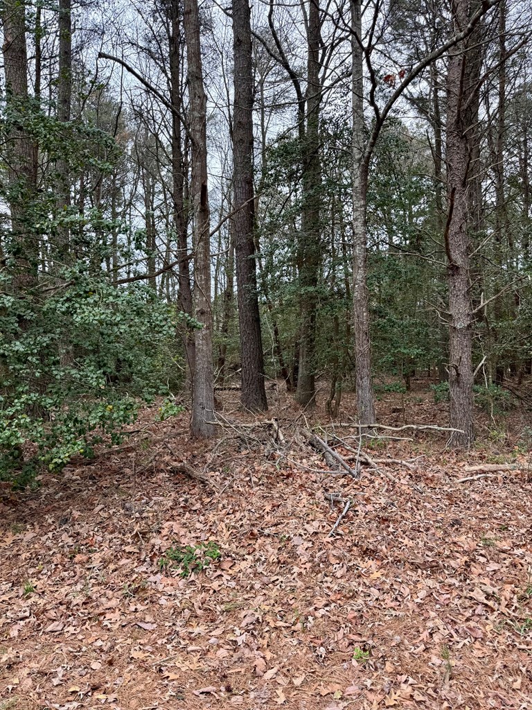 Lot 210 Dixie Ct