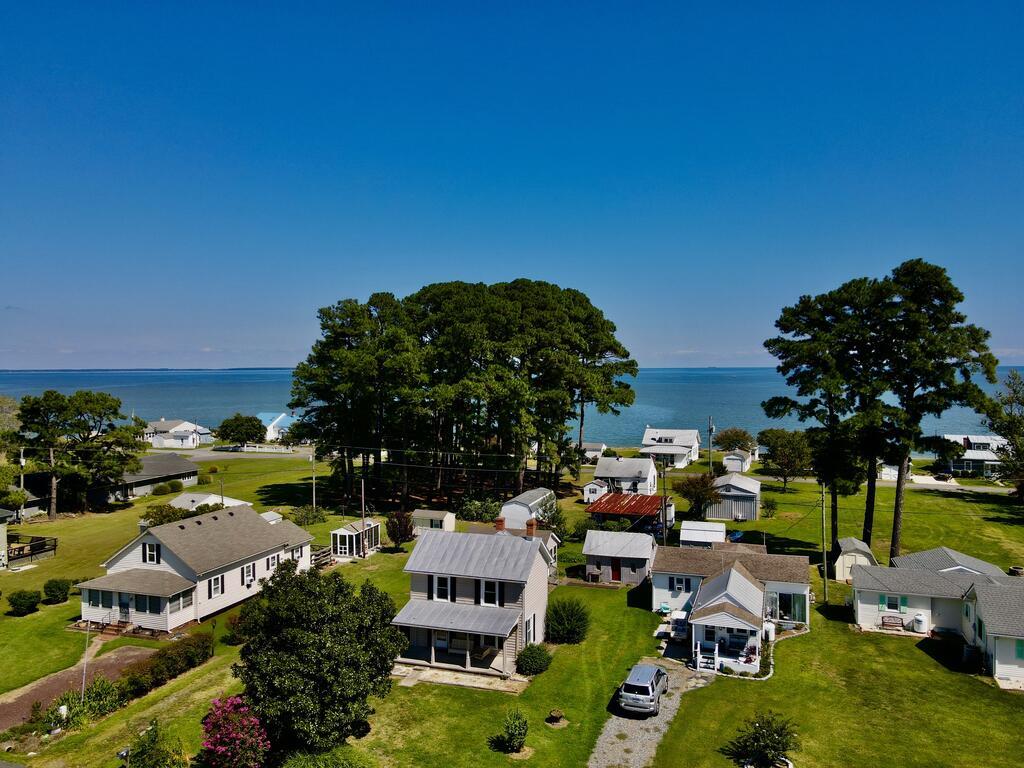 Waterfront homes viewed from above, with tall trees and blue water beyond.