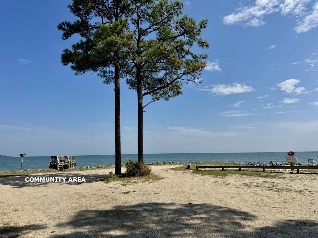 Community beach with two tall pines, a small dock, and open water.