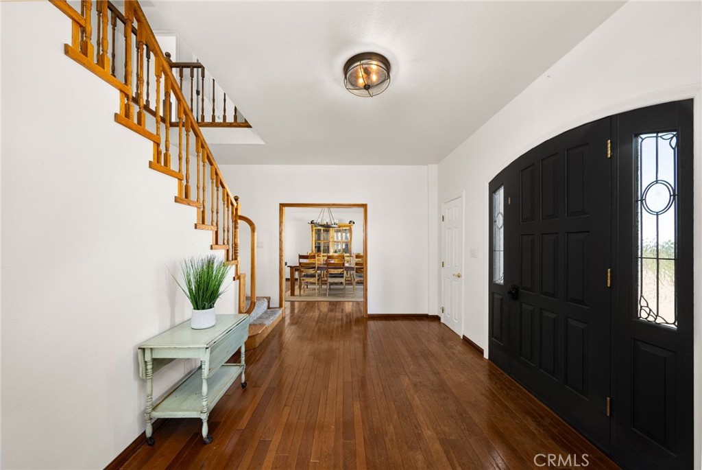 2625 Snow Line Drive