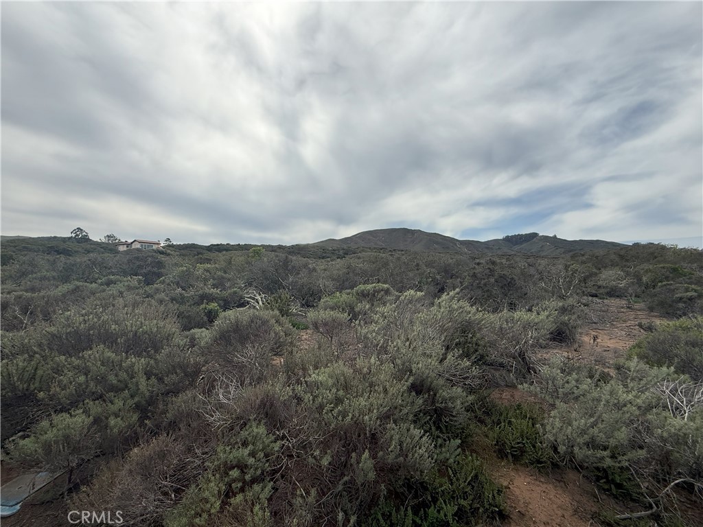 1039 Bayview Heights Drive