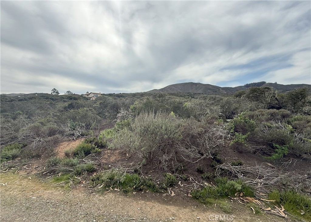 1039 Bayview Heights Drive