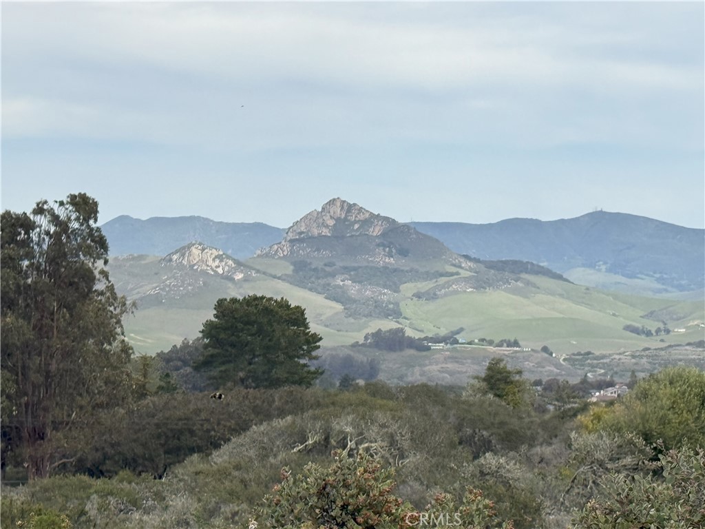 1039 Bayview Heights Drive