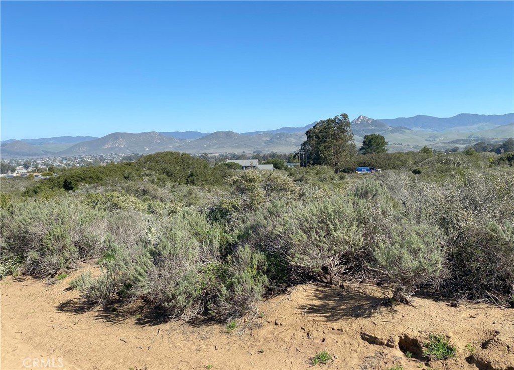 1039 Bayview Heights Drive