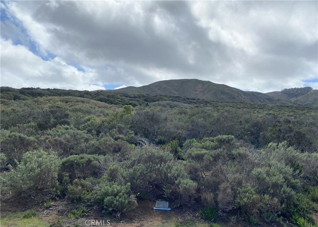 1039 Bayview Heights Drive