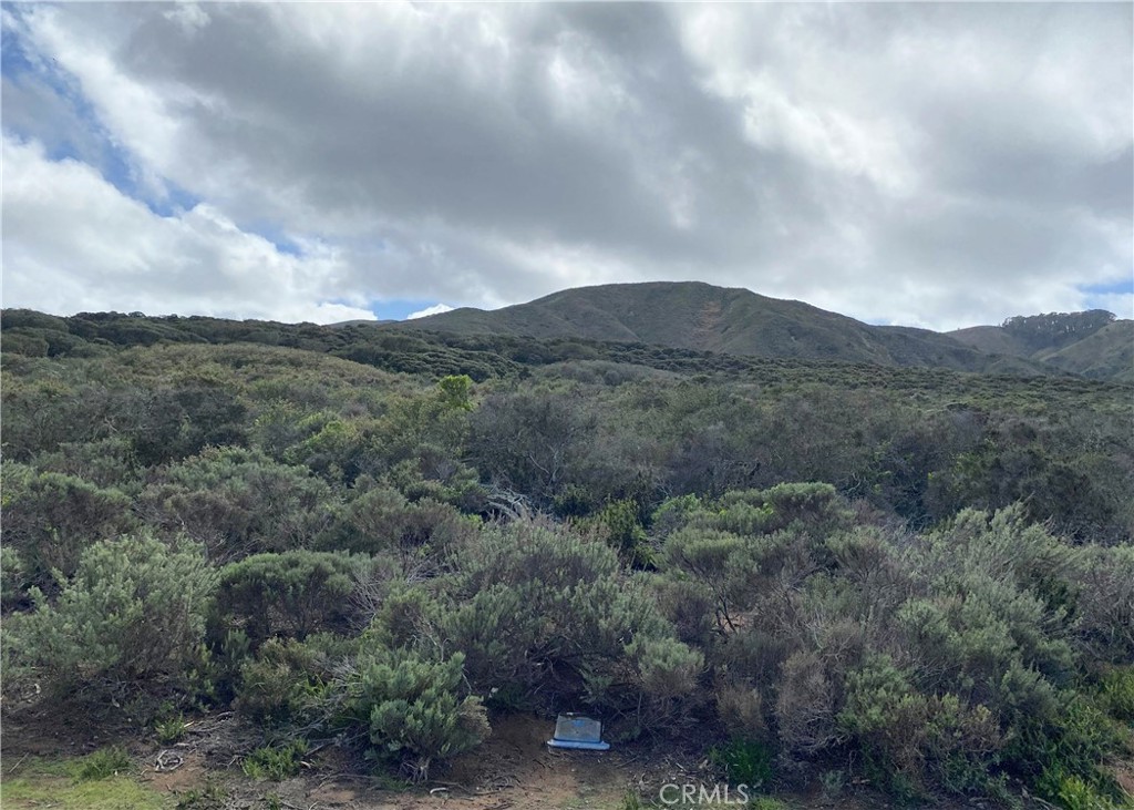 1039 Bayview Heights Drive