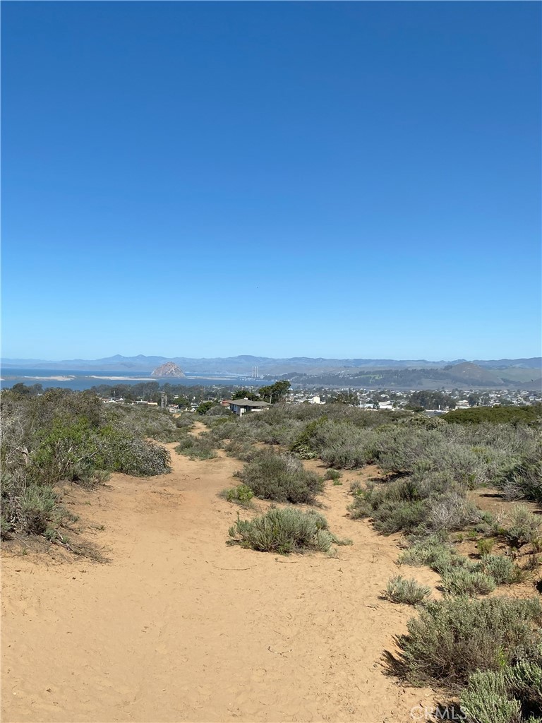 1039 Bayview Heights Drive