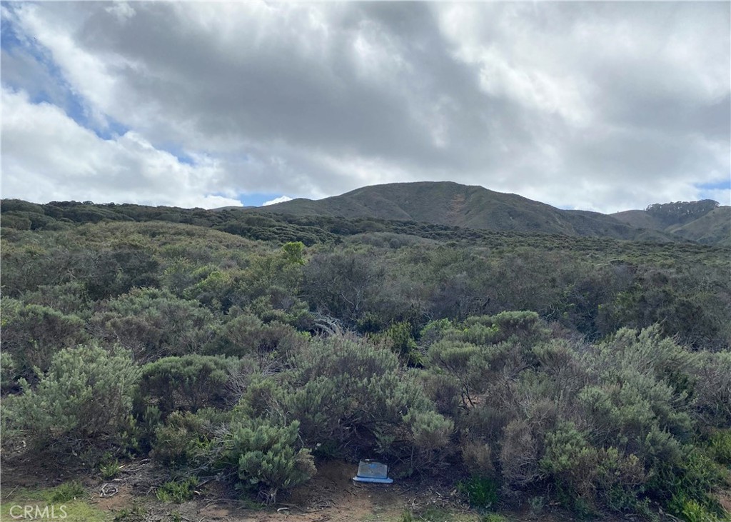 1039 Bayview Heights Drive