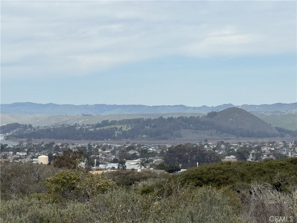 1039 Bayview Heights Drive