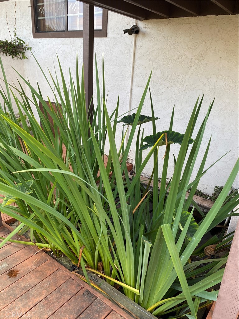 1421 Las Encinas Drive