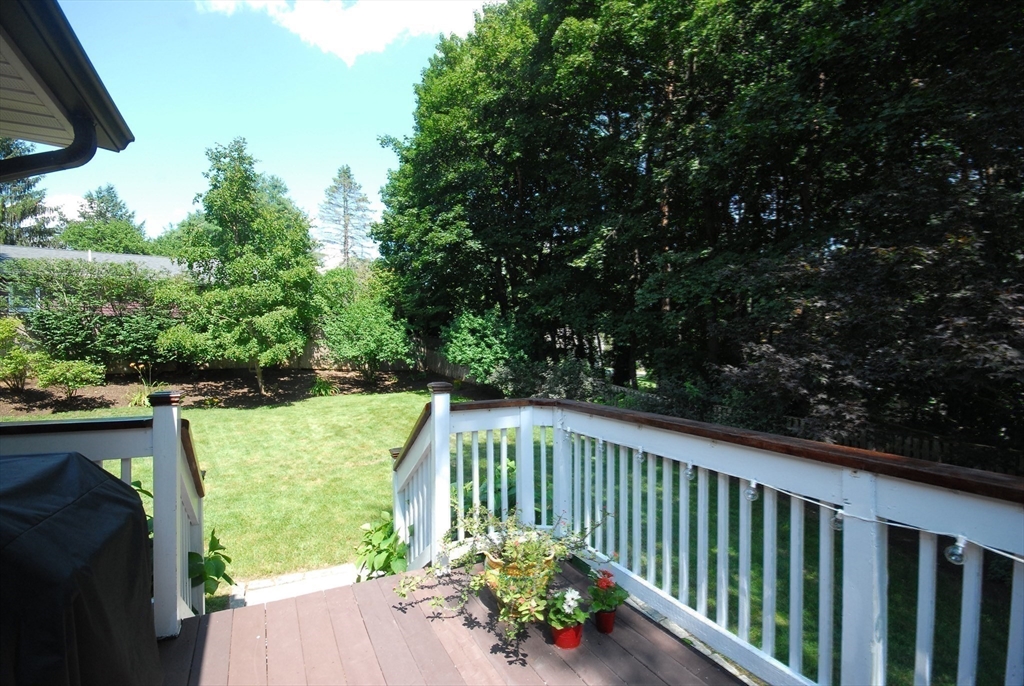 67 Macarthur Rd
