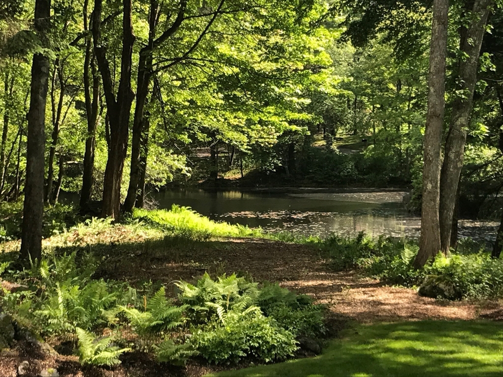316 Lindsay Pond Rd