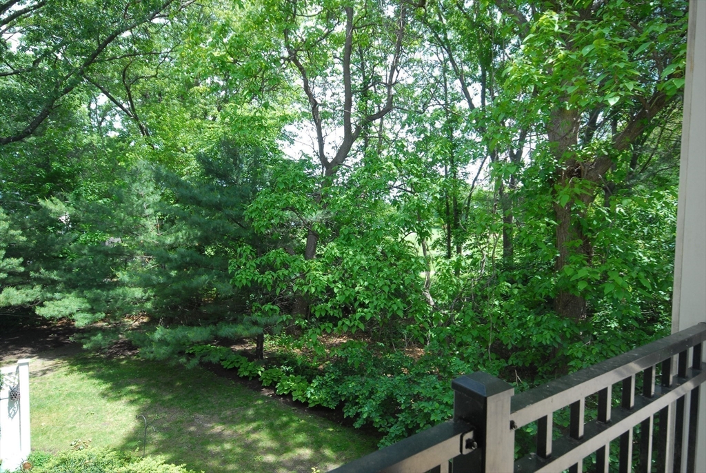 95 Conant St # 202