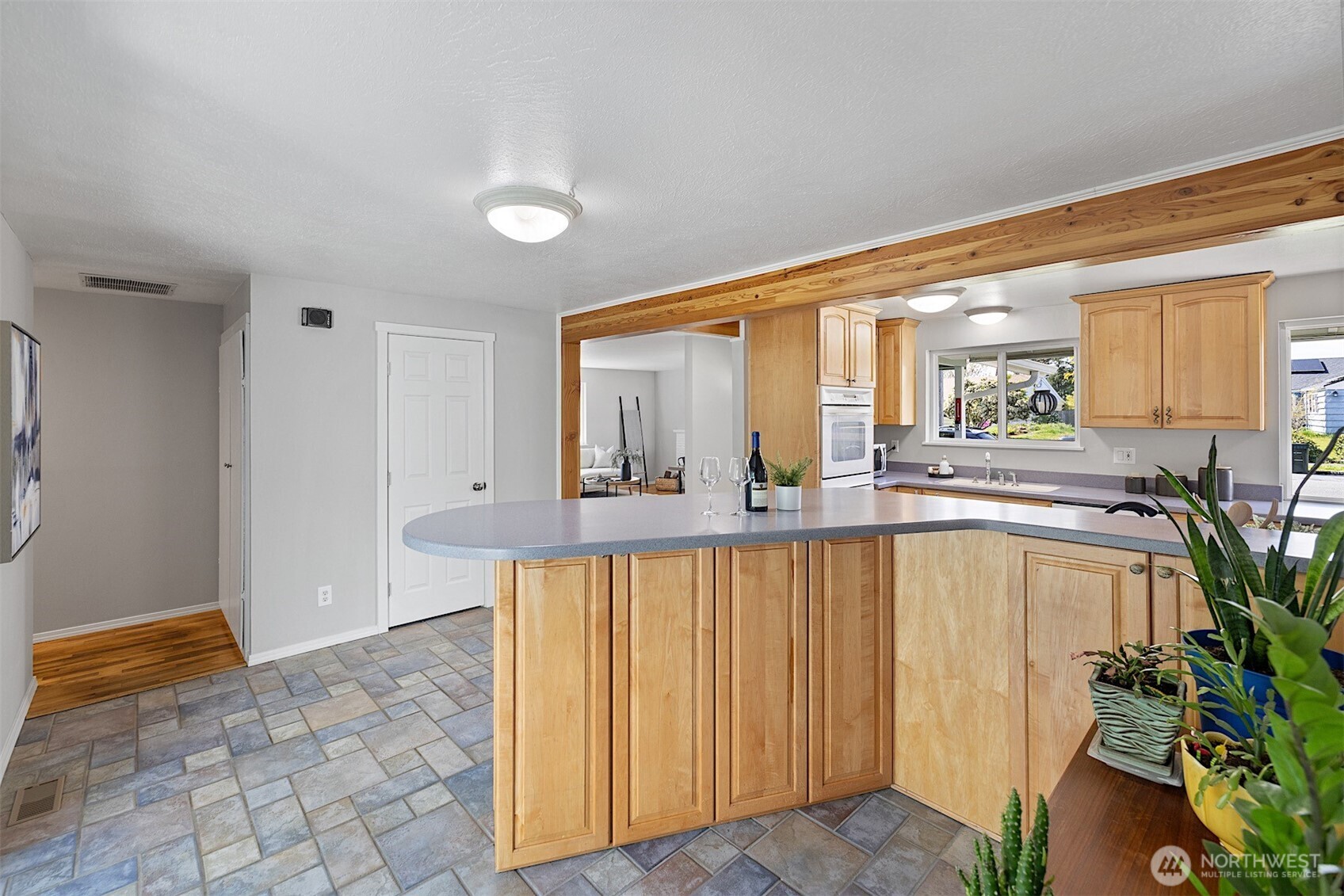 1313 N Lenore Drive