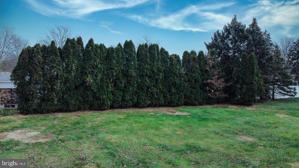 292 HOLLOW BRANCH LANE