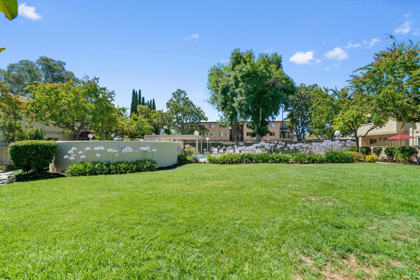 3179 Loma Verde Drive 2