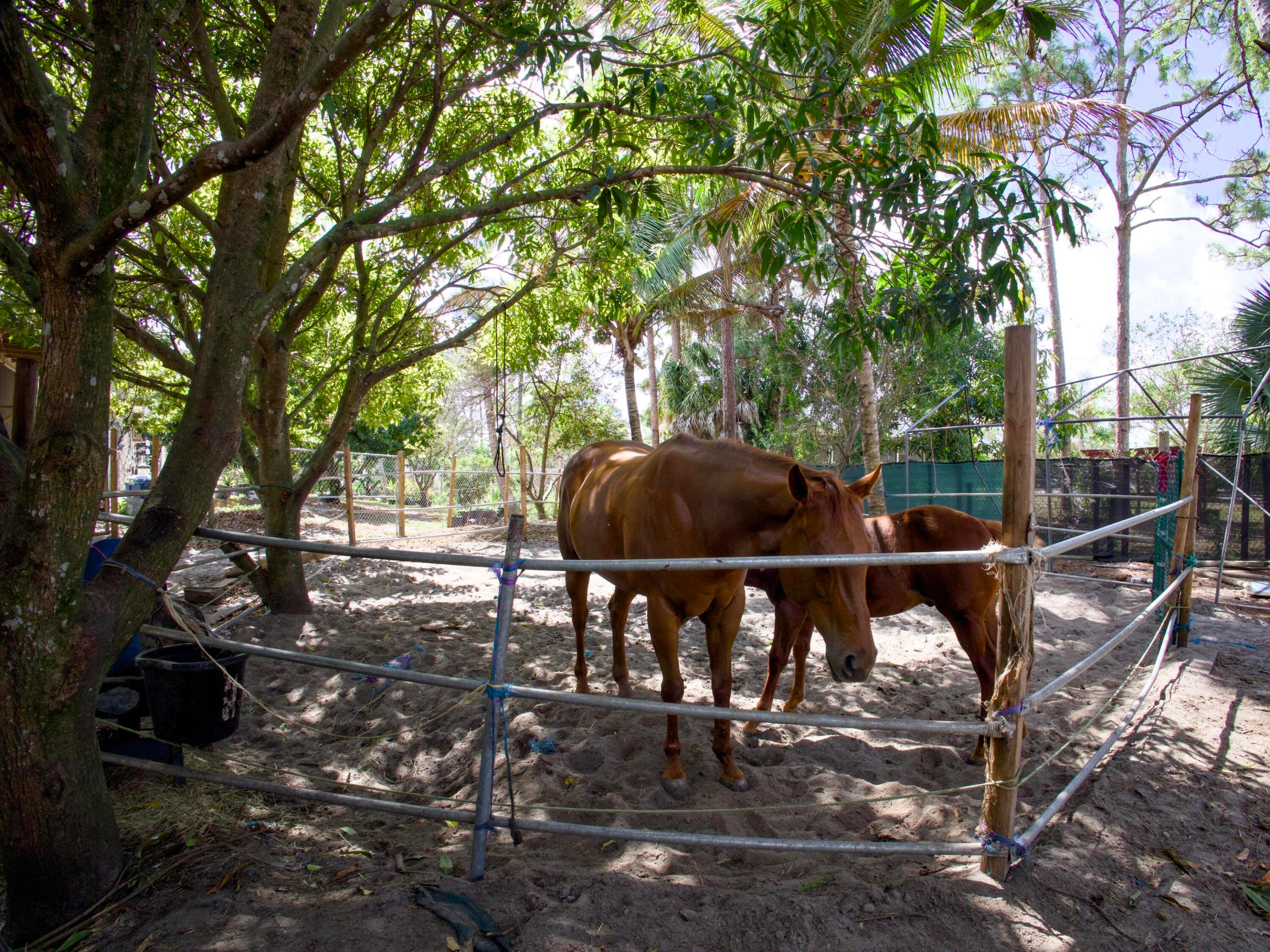 11481 Tangerine Boulevard