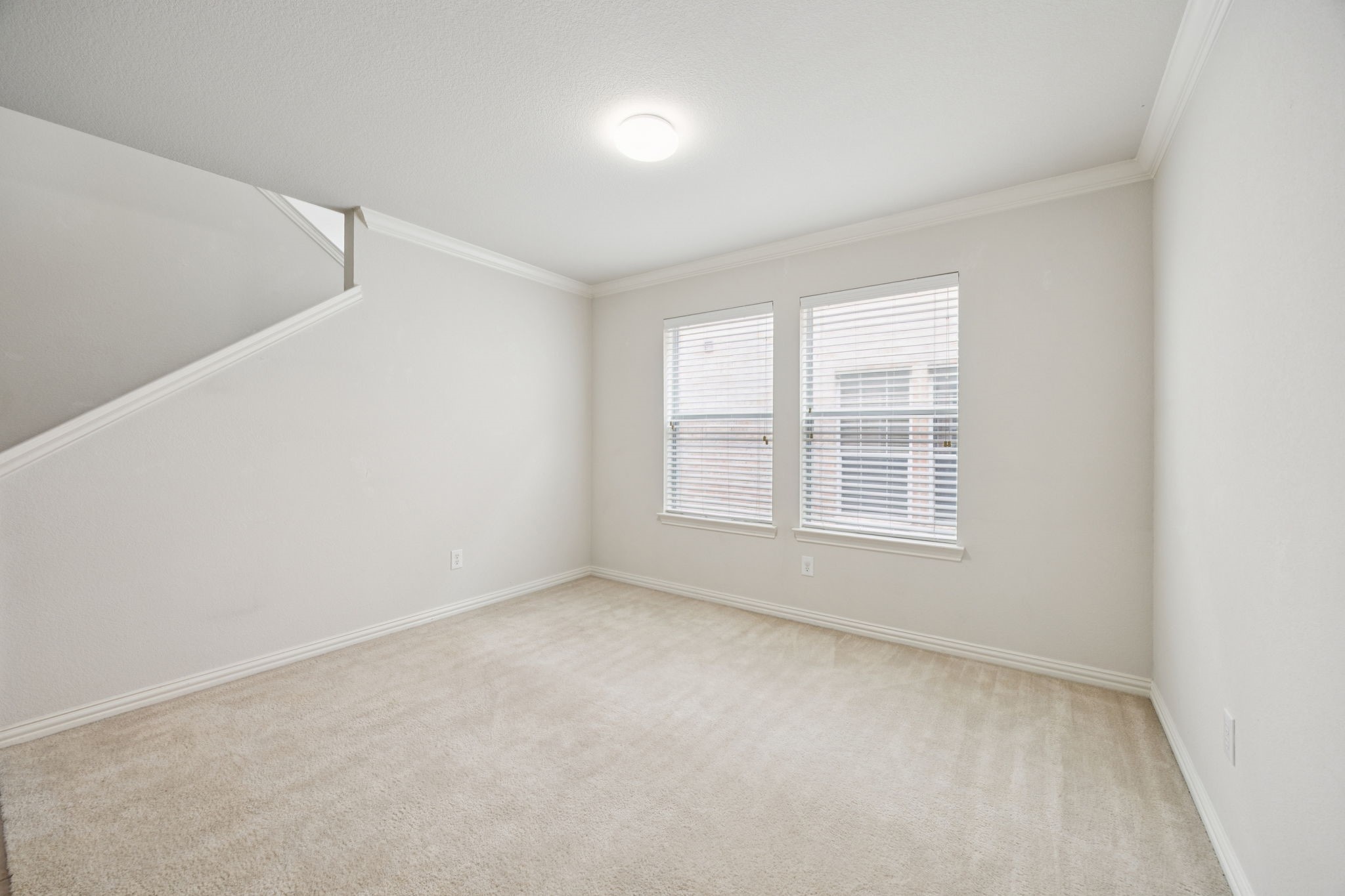 1716 Ringtail Drive