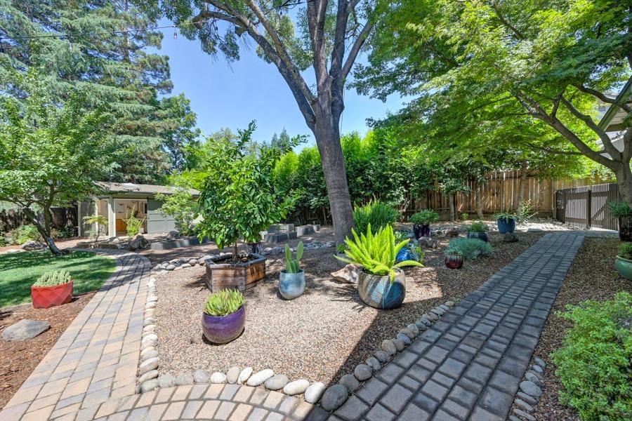 204 Oak Canyon Way