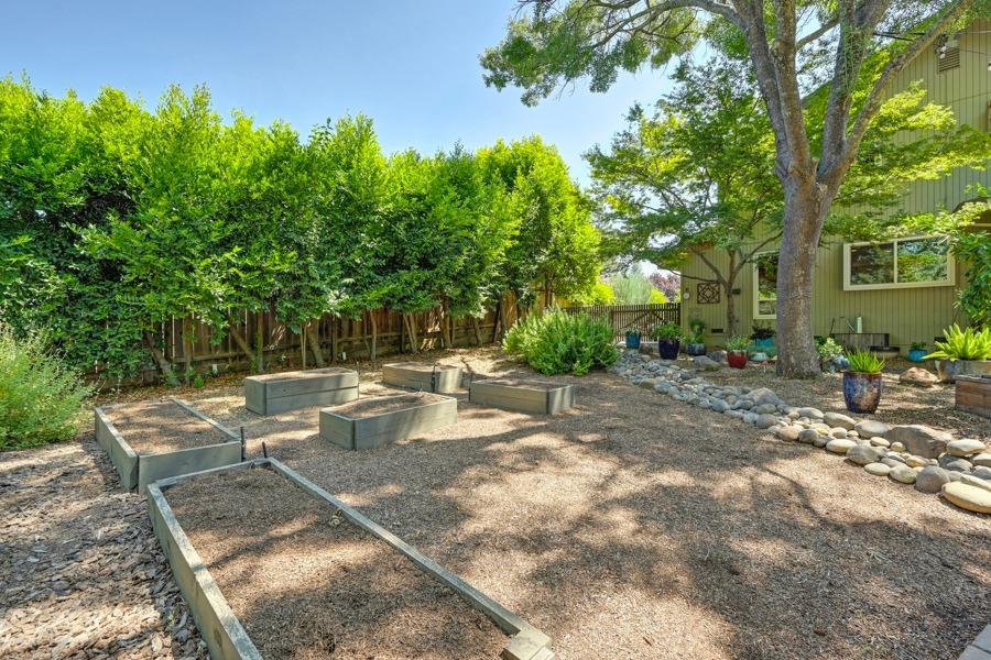 204 Oak Canyon Way