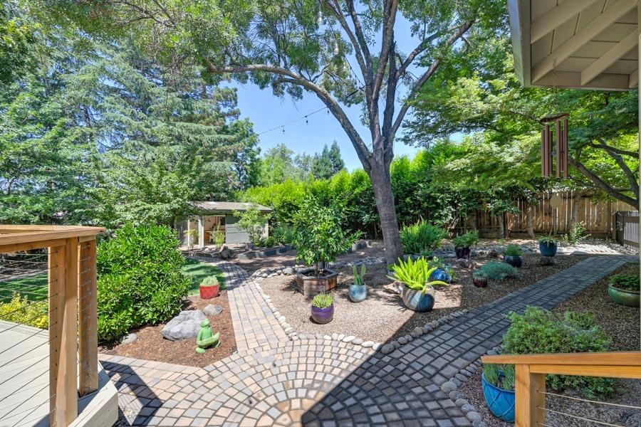 204 Oak Canyon Way