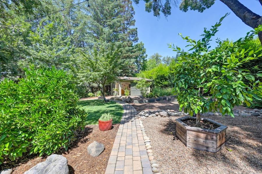 204 Oak Canyon Way