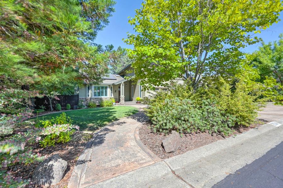 204 Oak Canyon Way