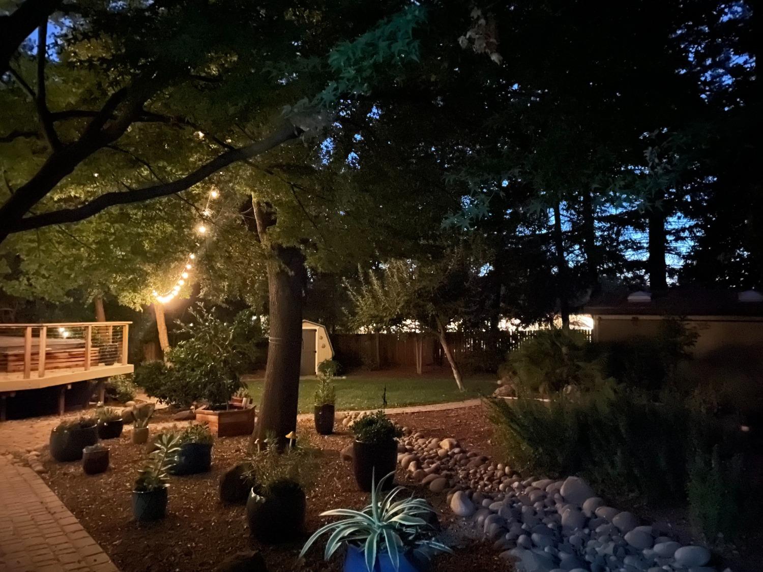 204 Oak Canyon Way