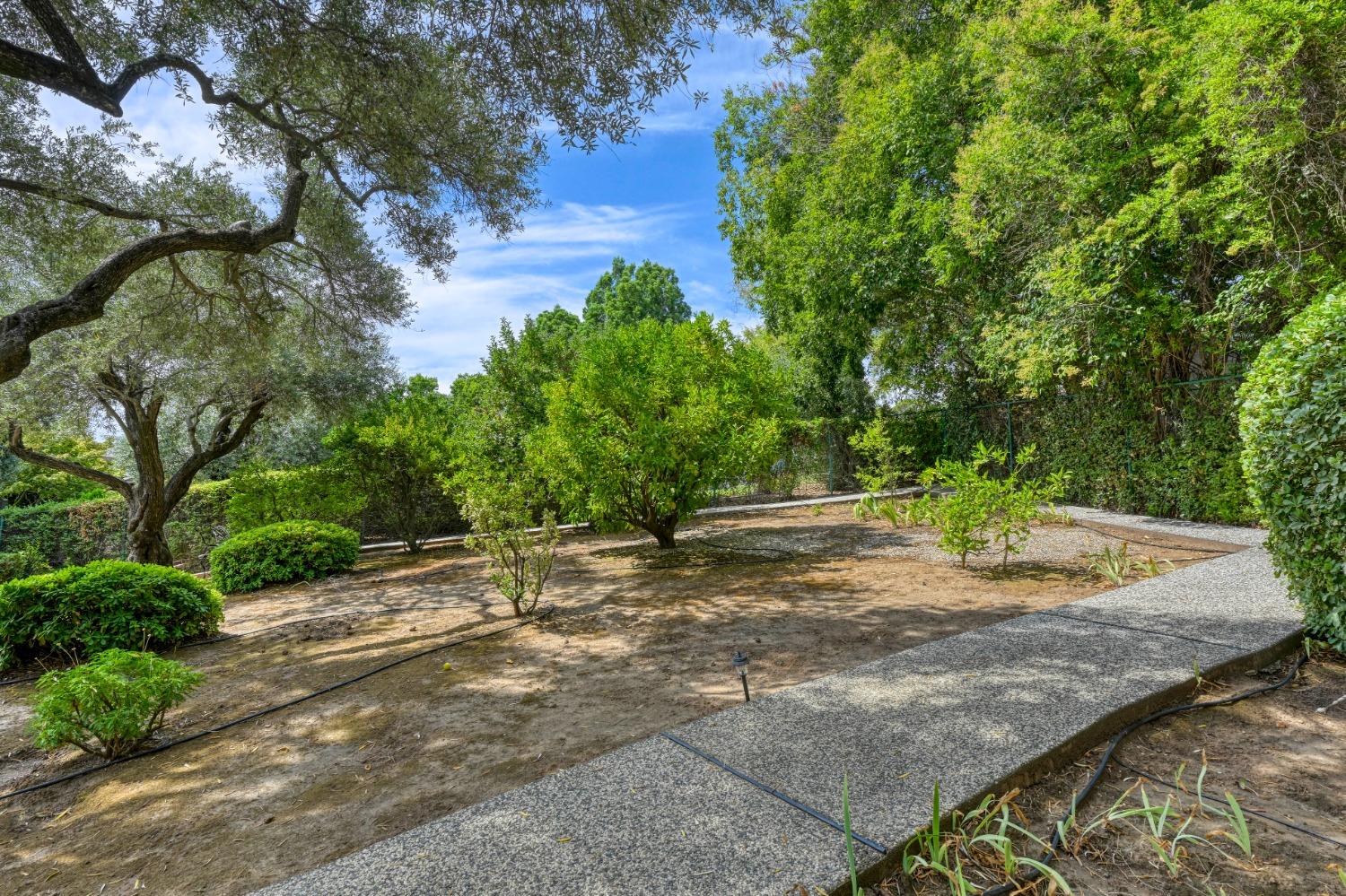 132 Berry Creek Drive
