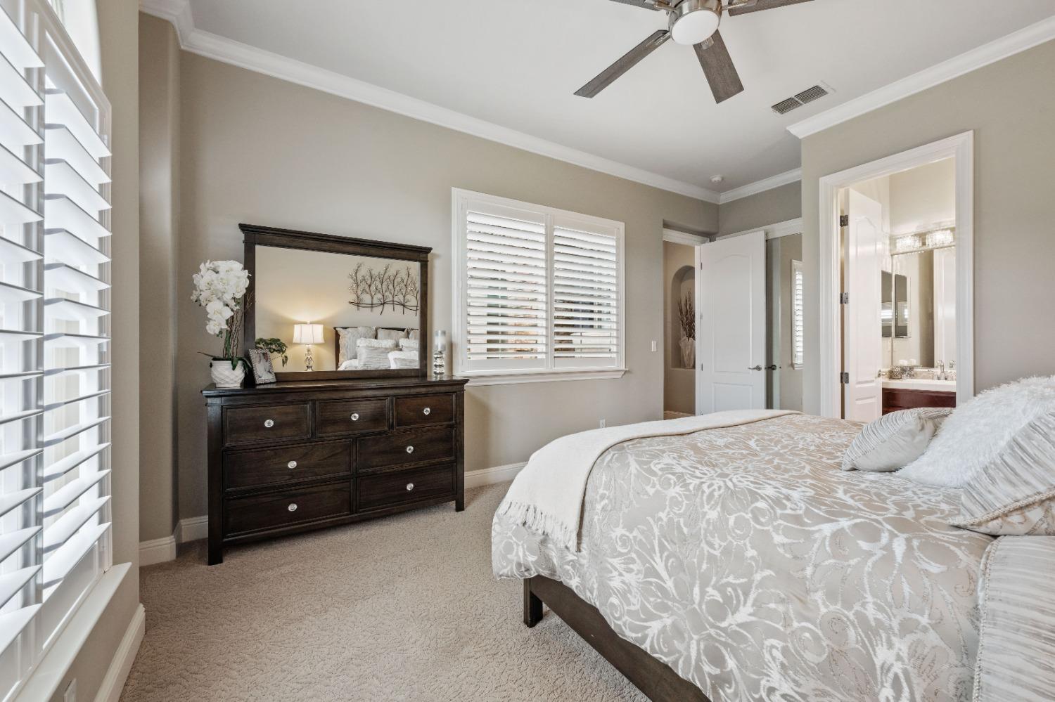 1311 Terracina Drive