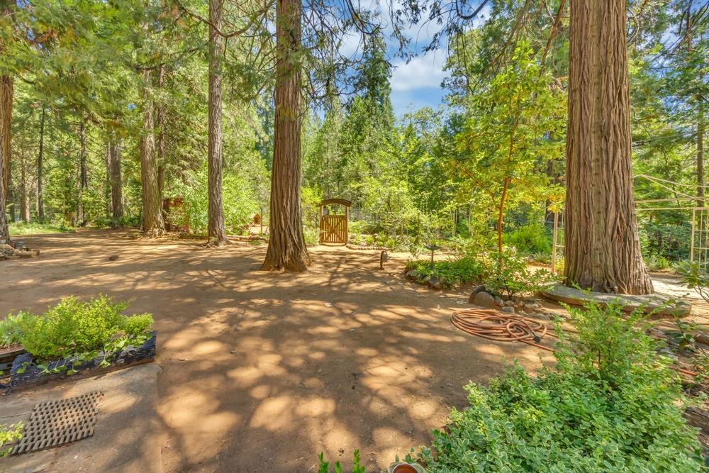 5215 Camp Snowline Road