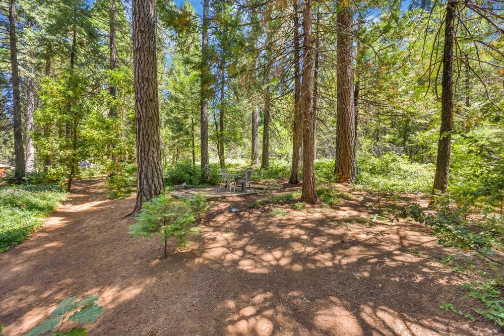 5215 Camp Snowline Road