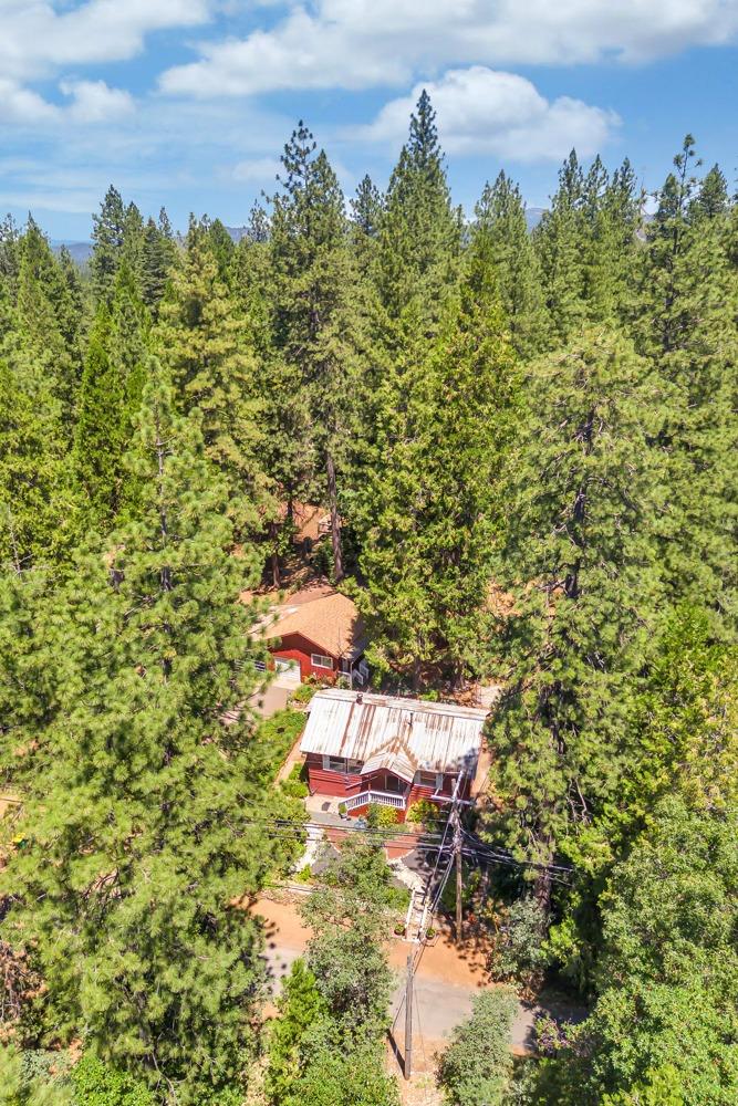 5215 Camp Snowline Road