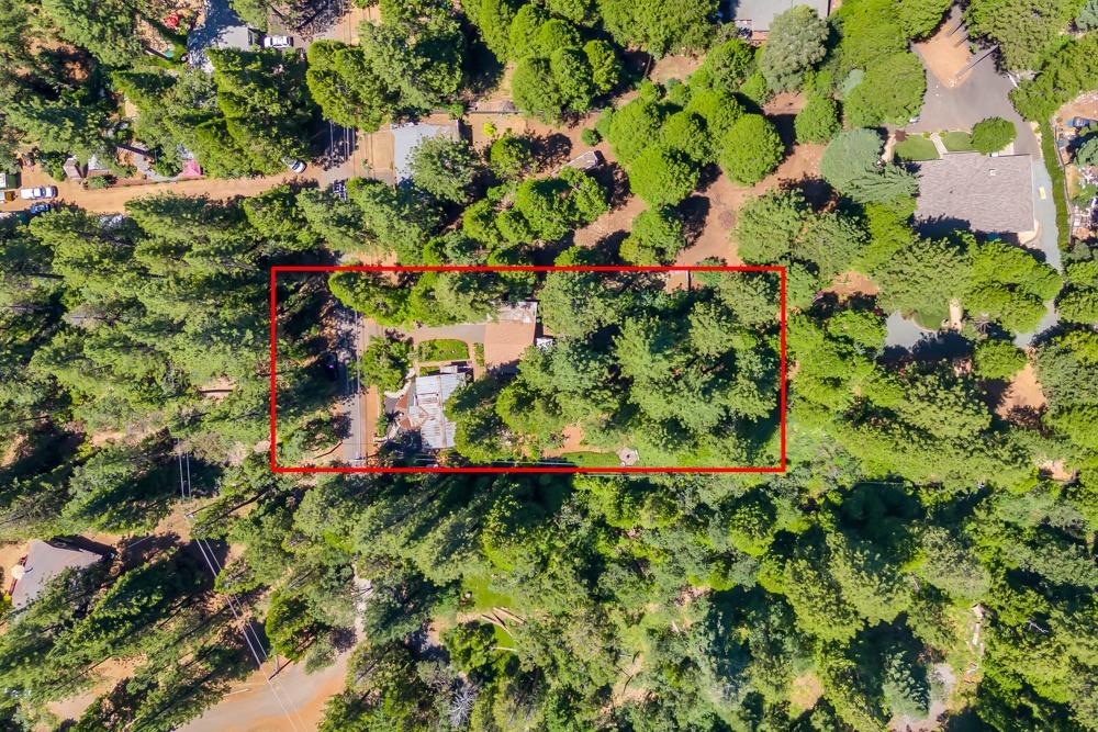 5215 Camp Snowline Road