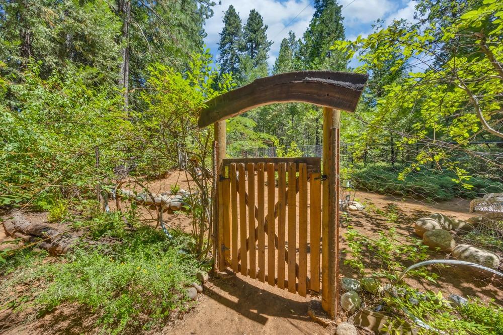 5215 Camp Snowline Road