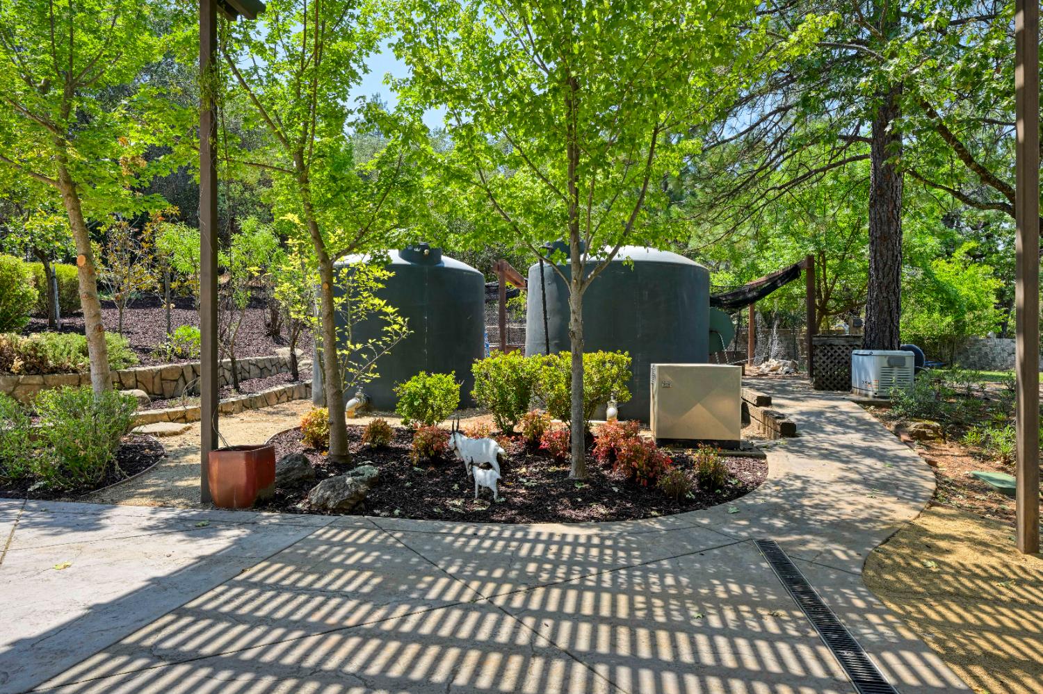 4324 Carlson Court