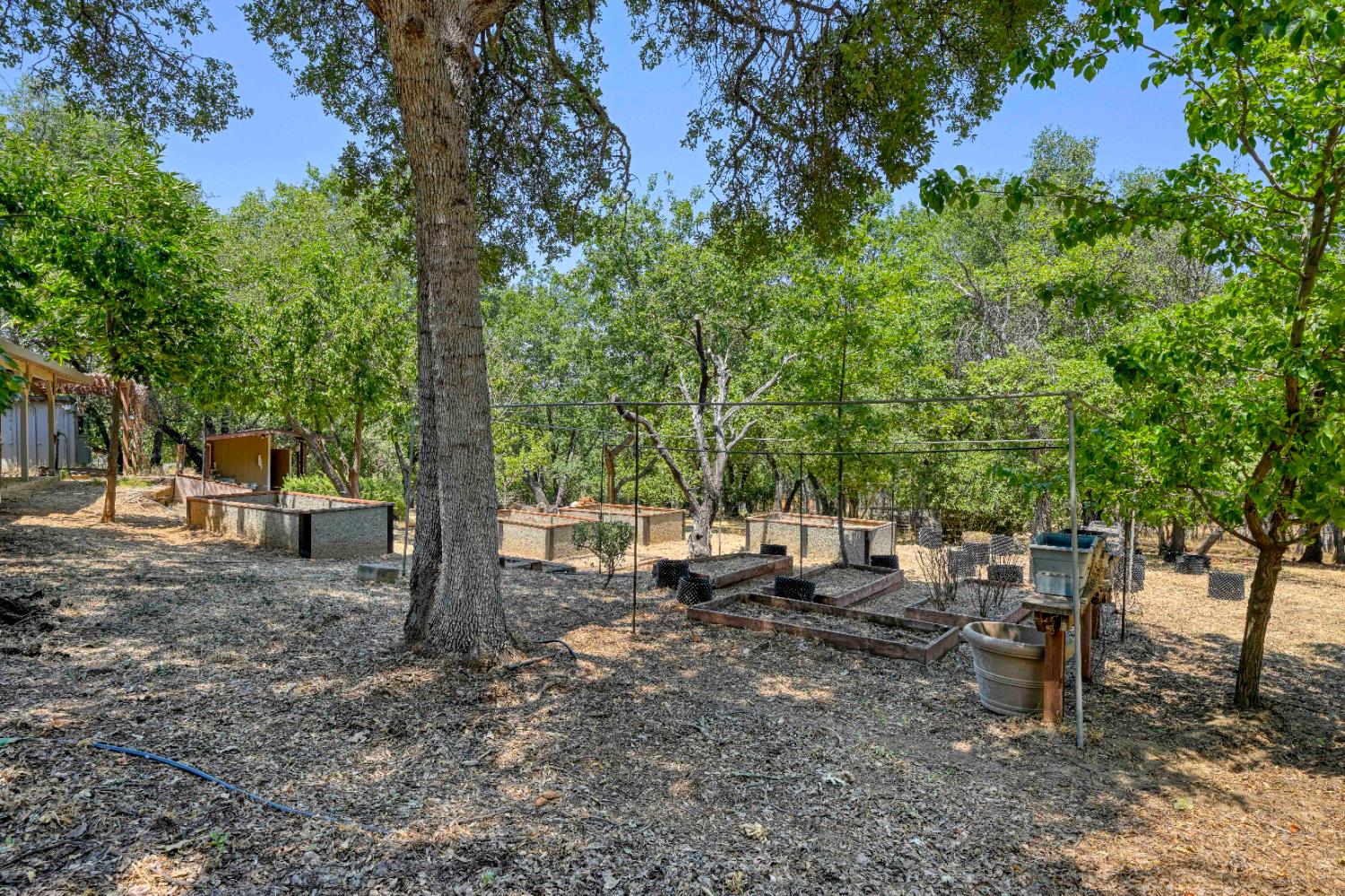 4324 Carlson Court