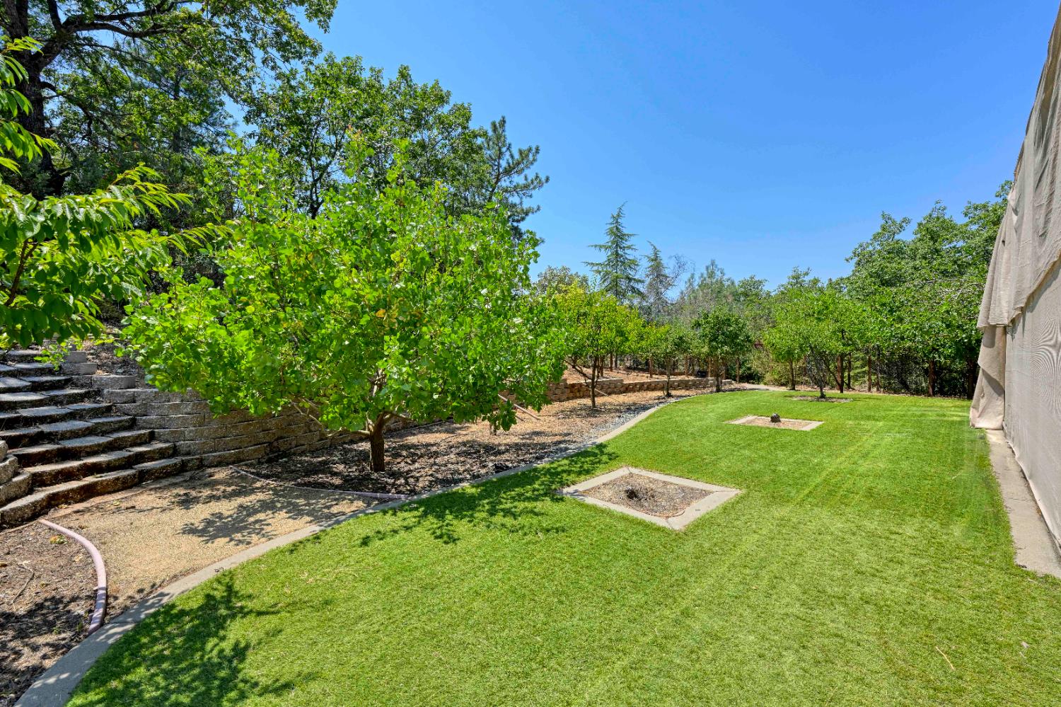 4324 Carlson Court