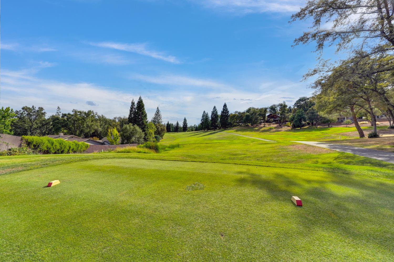 11667 Torrey Pines Drive