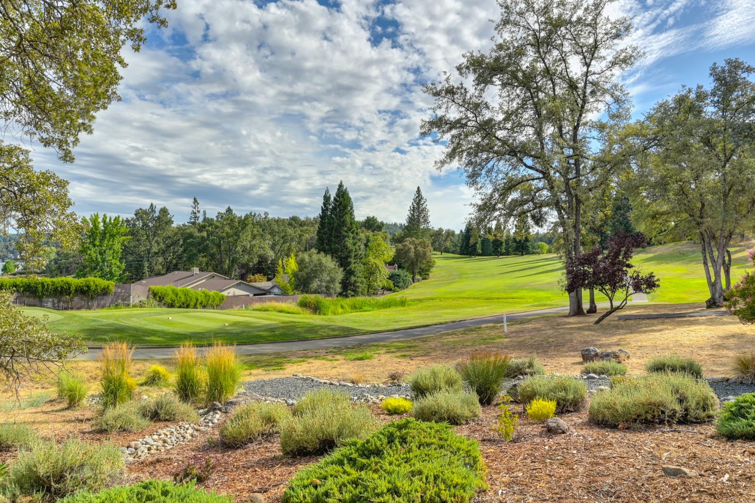 11667 Torrey Pines Drive