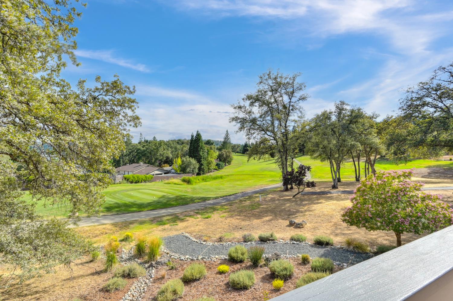 11667 Torrey Pines Drive